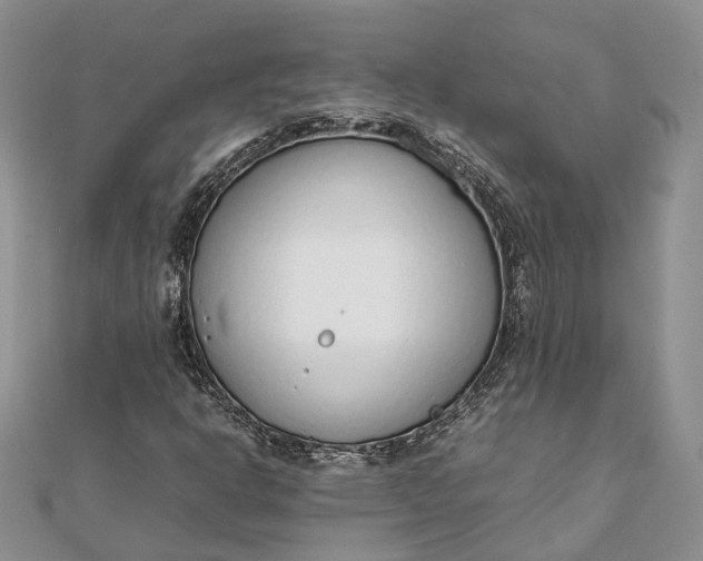 X0000111921302200908101213