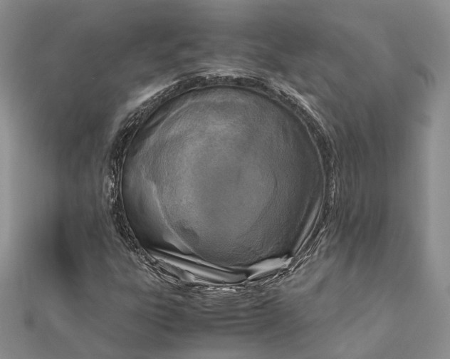 X0000111921303200908101213