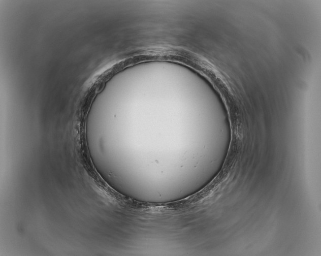 X0000111921304200908101213