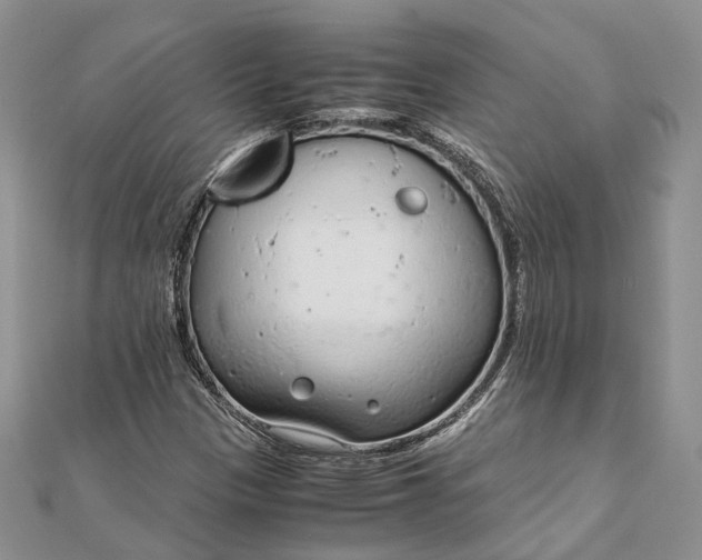 X0000111921305200908101213