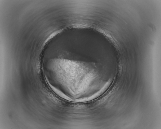 X0000111921306200908101213