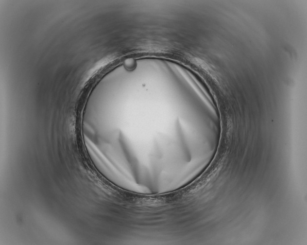 X0000111921307200908101213