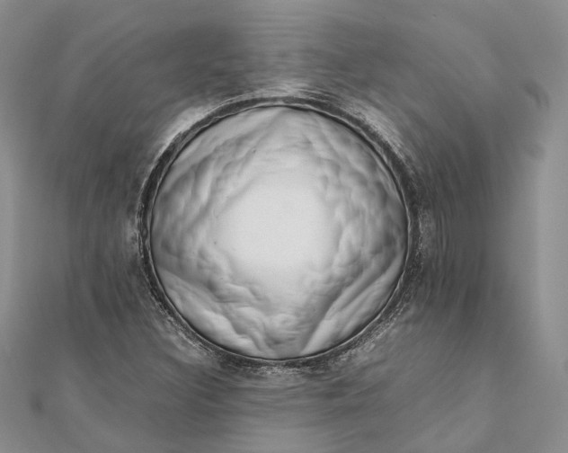 X0000111921308200908101213