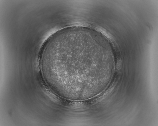 X0000111921310200908101213