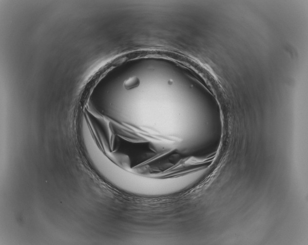 X0000111921311200908101213