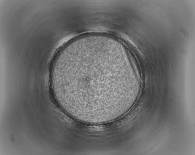 X0000111921315200908101213