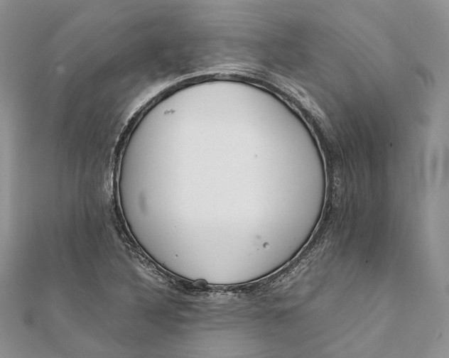 X0000111921316200908101213