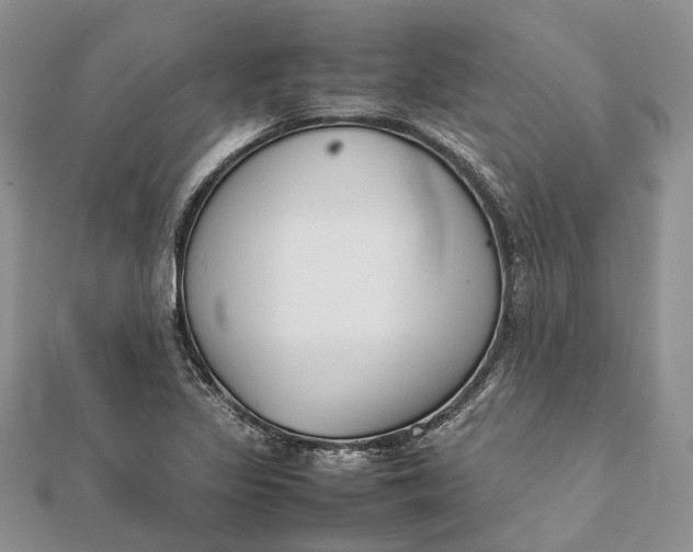 X0000111921317200908101213