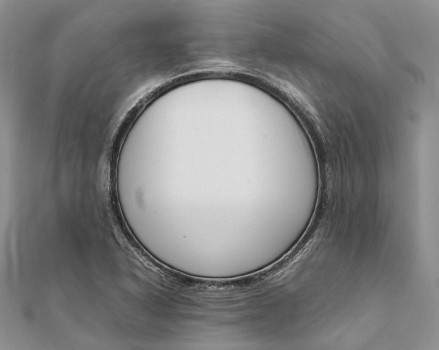 X0000111921318200908101213