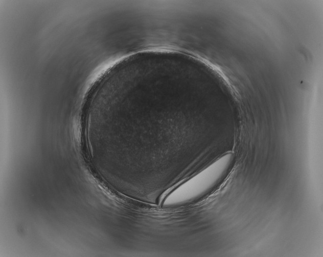 X0000111921319200908101213