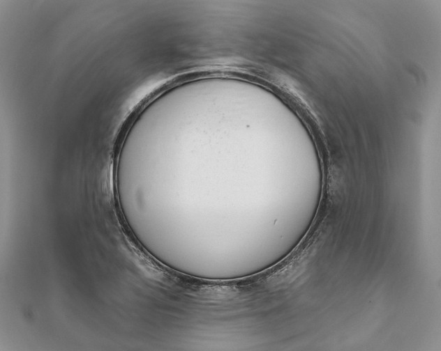 X0000111921320200908101213