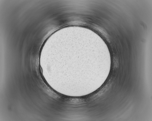 X0000111921322200908101213