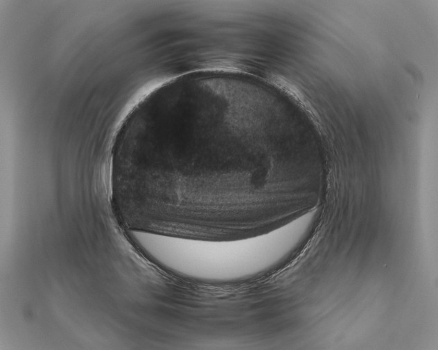 X0000111921323200908101213