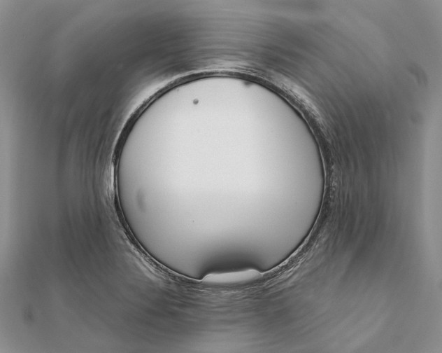 X0000111921324200908101213