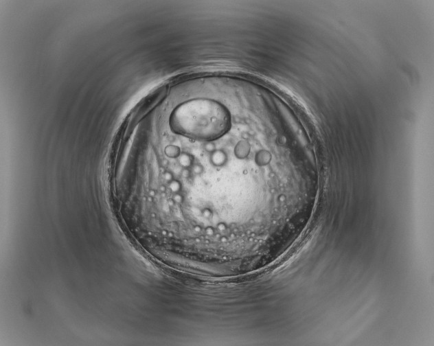 X0000111921325200908101213