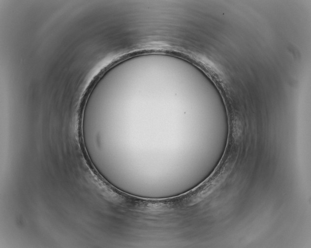 X0000111921326200908101213