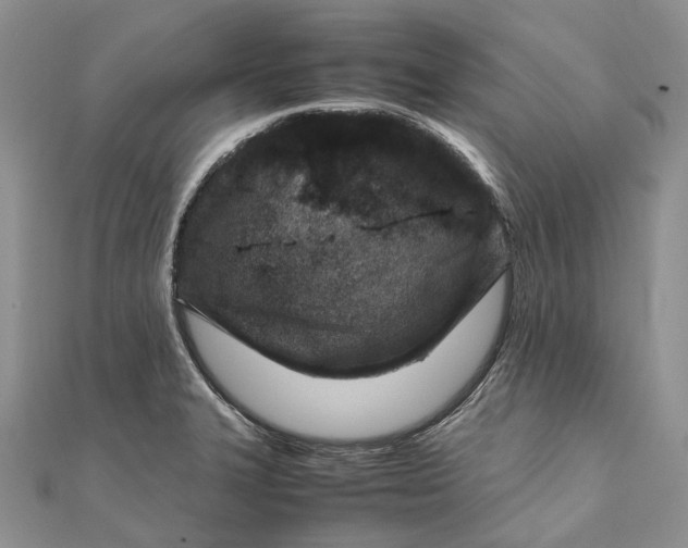 X0000111921327200908101213