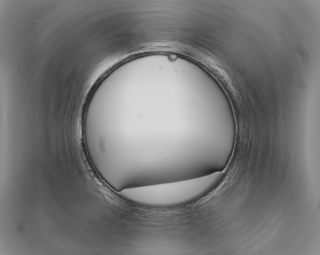 X0000111921328200908101213