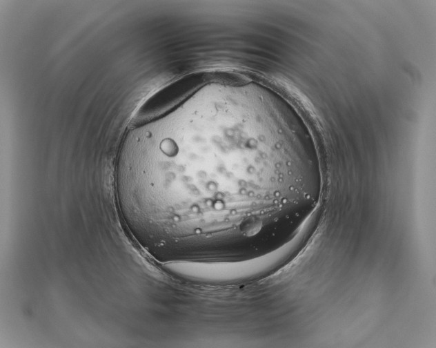 X0000111921329200908101213