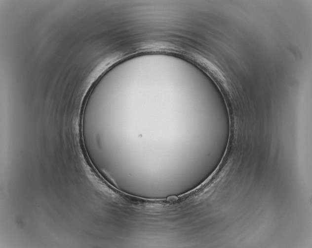 X0000111921330200908101213