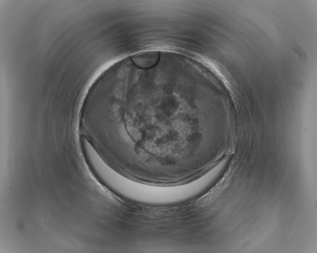 X0000111921331200908101213