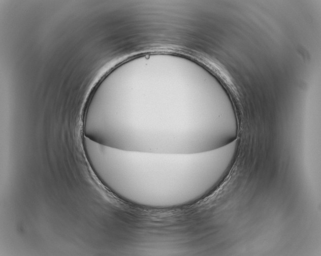 X0000111921332200908101213