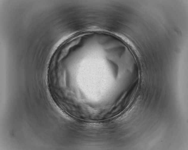 X0000111921333200908101213