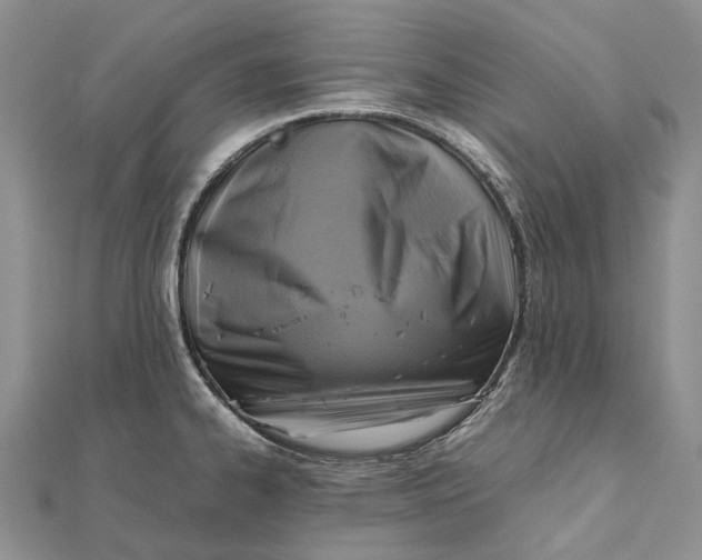 X0000111921334200908101213