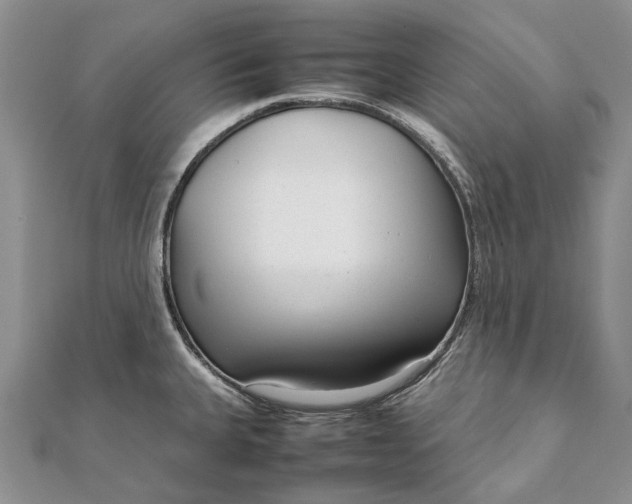 X0000111921335200908101213