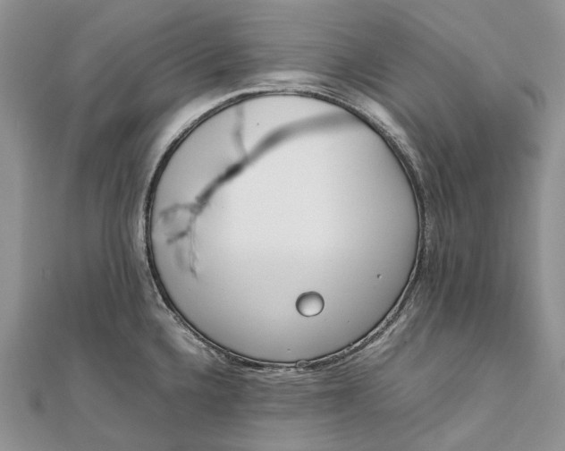 X0000111921336200908101213