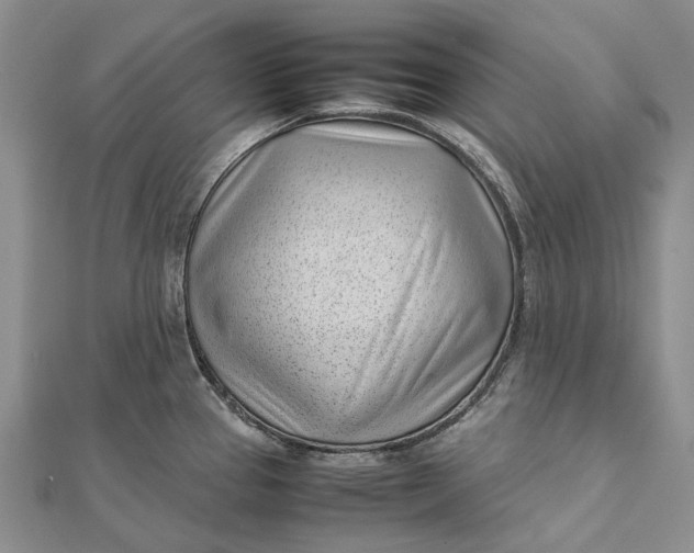 X0000111921337200908101213