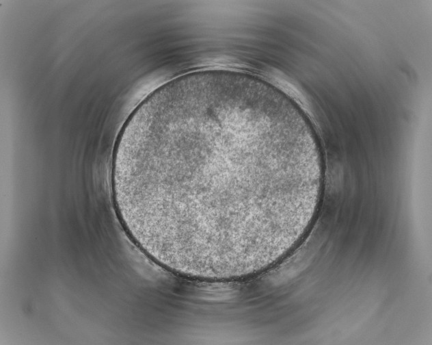 X0000111921338200908101213