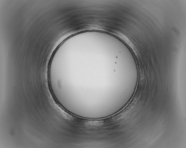 X0000111921339200908101213