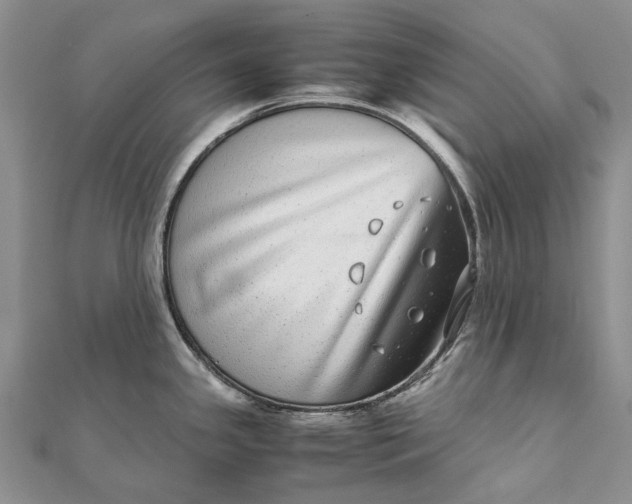 X0000111921341200908101213