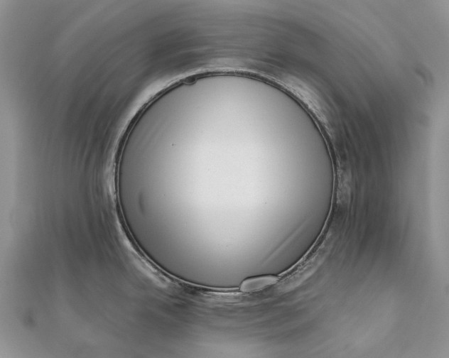 X0000111921342200908101213