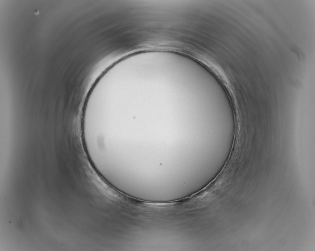 X0000111921344200908101213