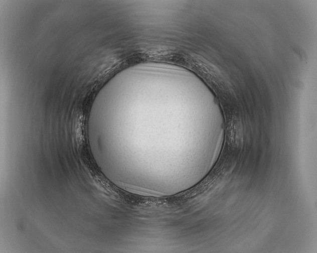 X0000111921346200908101213