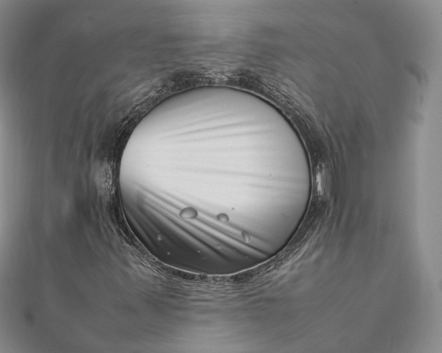 X0000111921347200908101213