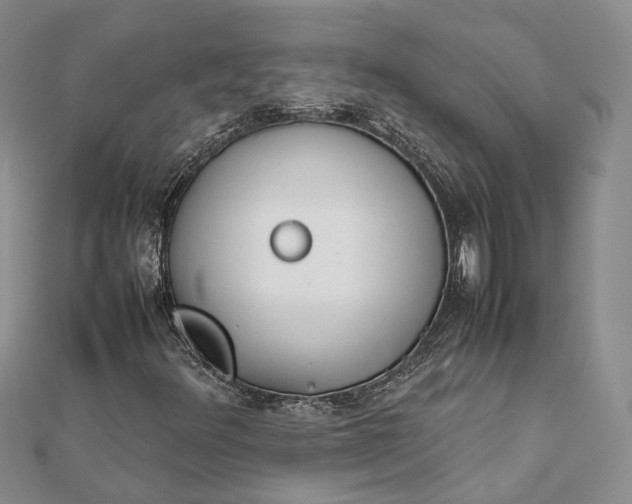 X0000111921348200908101213