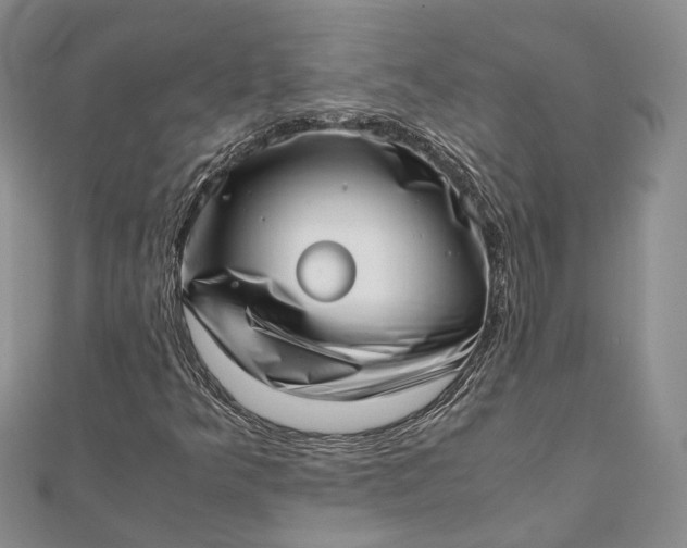 X0000111921349200908101213