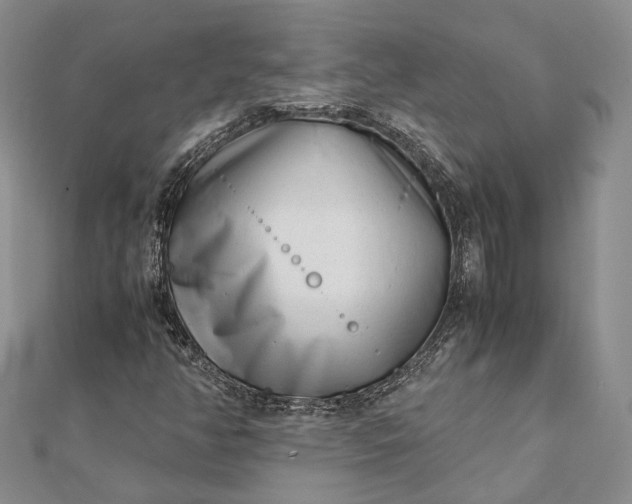 X0000111921350200908101213