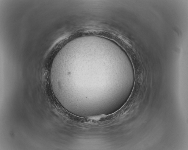 X0000111921351200908101213