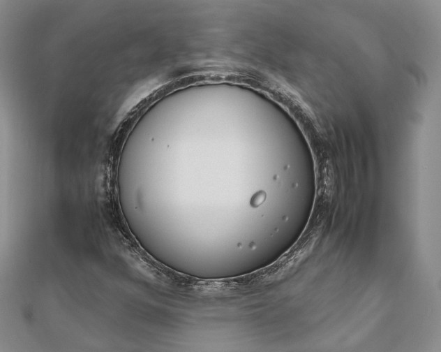 X0000111921352200908101213