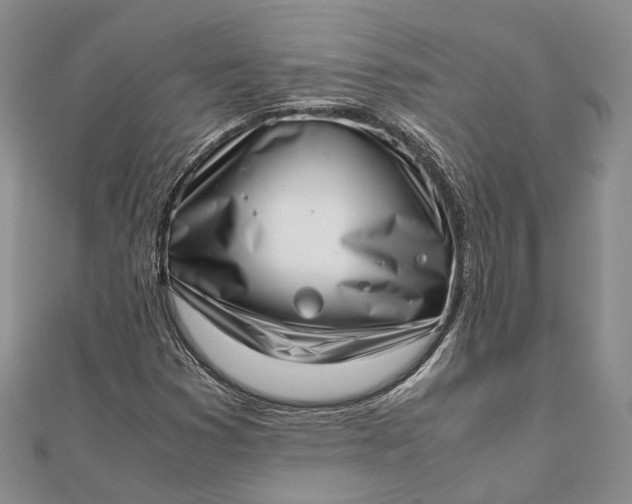 X0000111921353200908101213