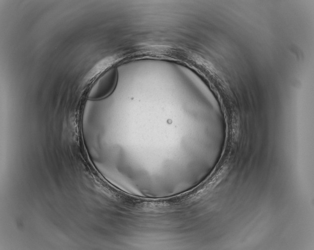 X0000111921354200908101213