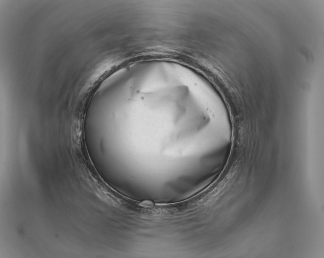 X0000111921355200908101213