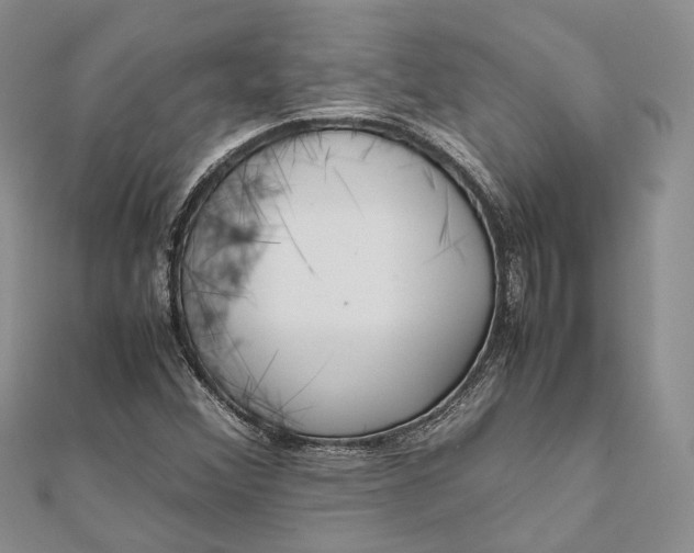 X0000111921356200908101213