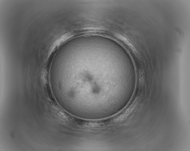 X0000111921357200908101213