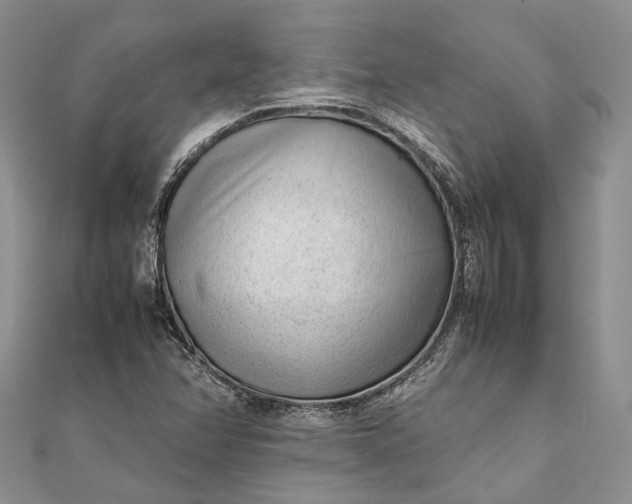 X0000111921358200908101213