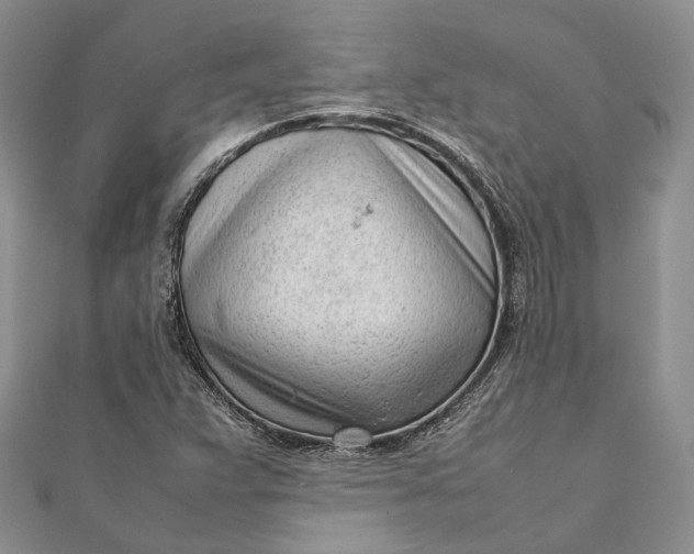 X0000111921359200908101213